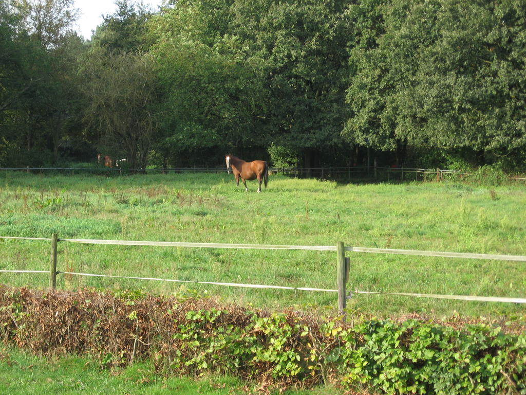 Bed and Breakfast Rustpunt Groote Heide à Heeze Extérieur photo